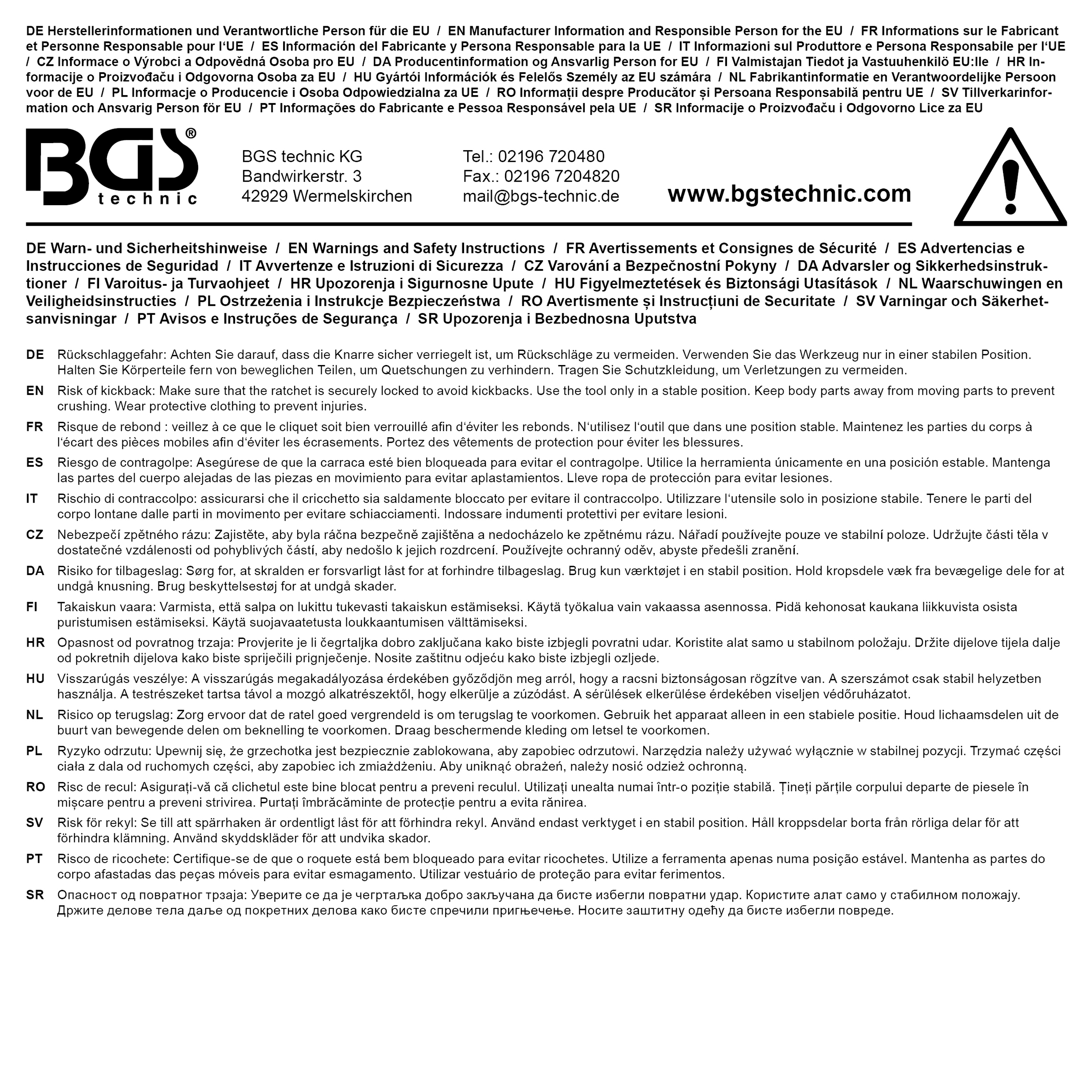 BGS Umschaltknarre mit Kugelkopf | Abtrieb Außenvierkant 10 mm (3/8")