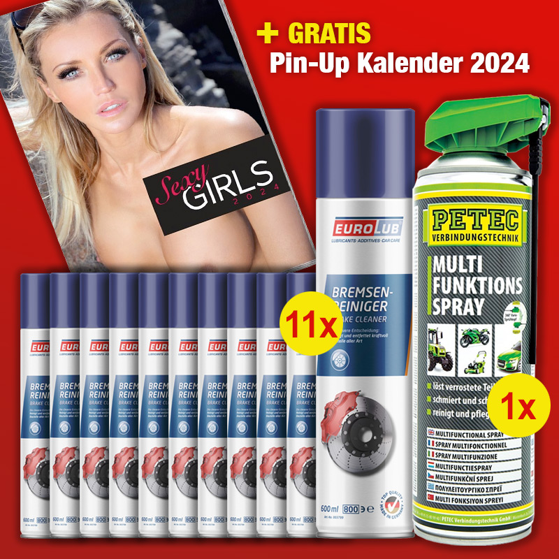 Eurolub Bremsenreiniger Super DEAL + Petec Multifunktions Spray + Werkstattkalender 2024 GRATIS