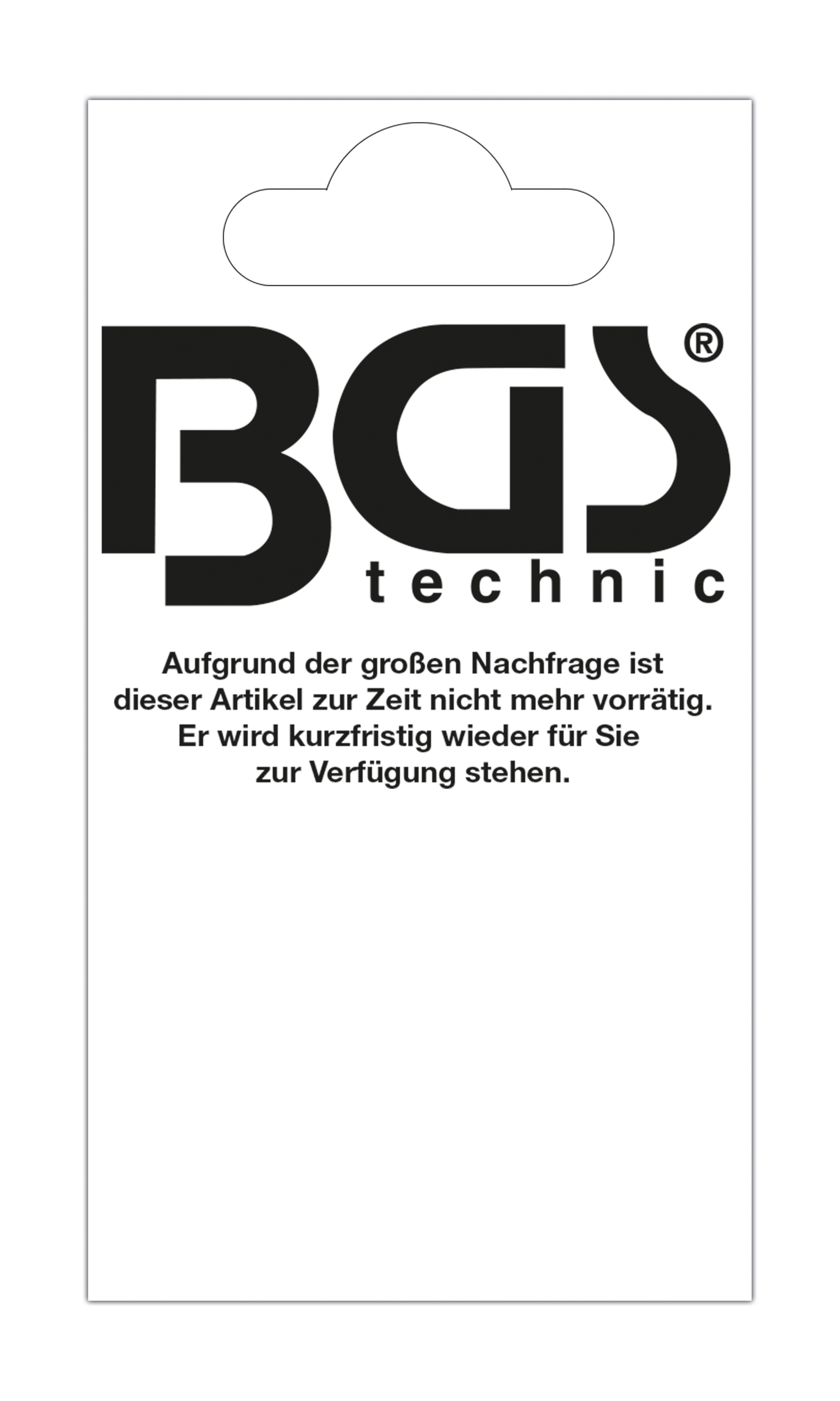 BGS Leitkarten für Verkaufswände | 52 x 98 mm | 1 Bogen á 12 Stück