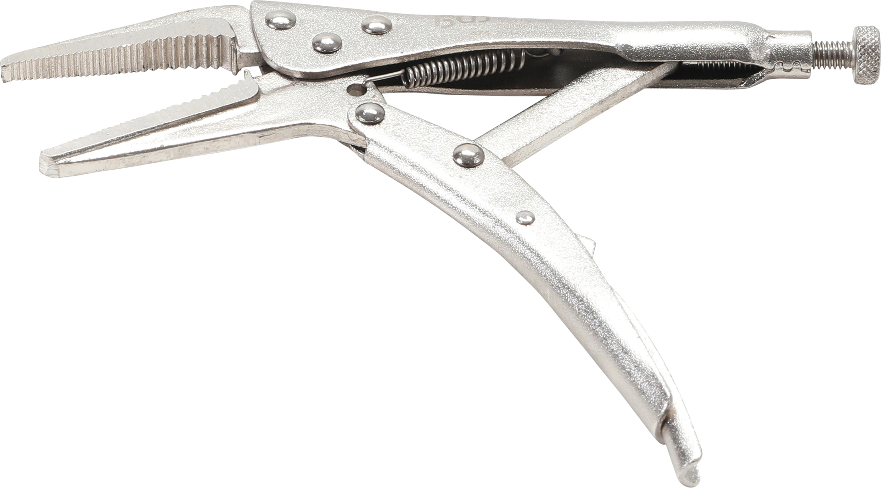 BGS Langbeck-Gripzange | 170 mm
